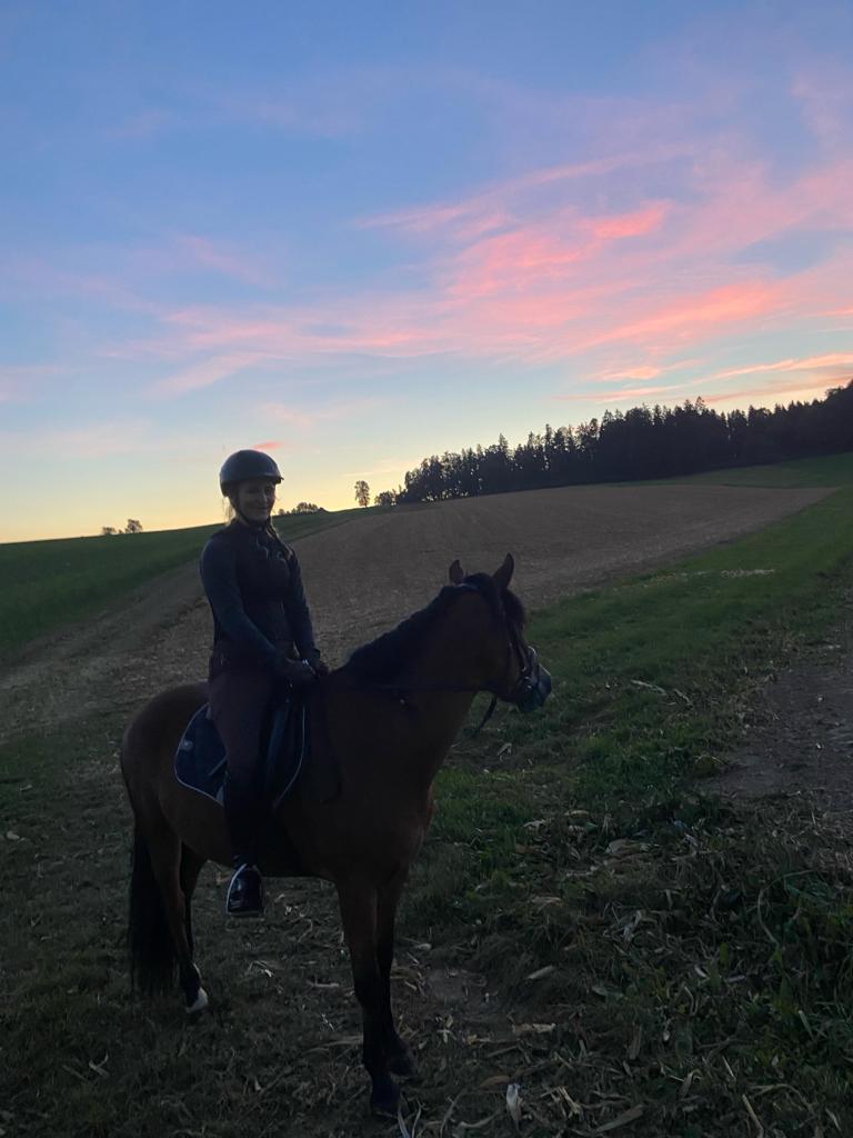 Reiten