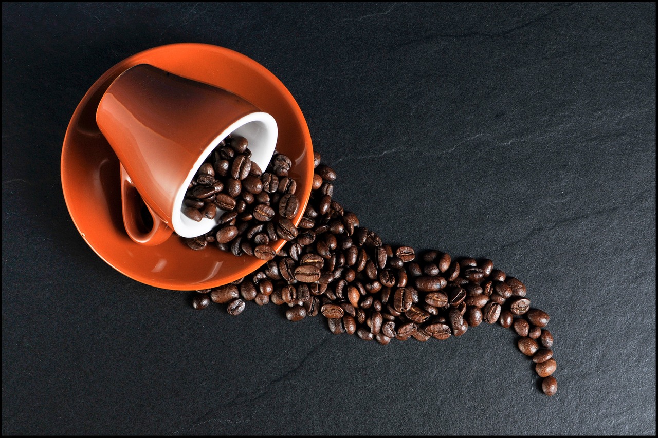 Why My Coffee Gets More Attention Than Me